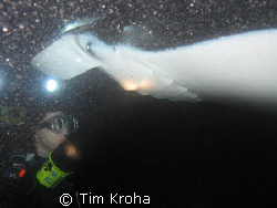 Manta Ray (10-12' wingspan) & my wife (Kona, Hawai'i) by Tim Kroha 